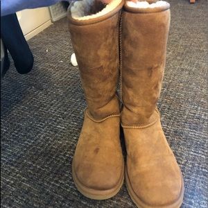Tall chestnut uggs